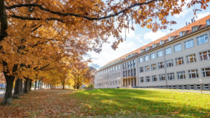 a university campus with tall trees