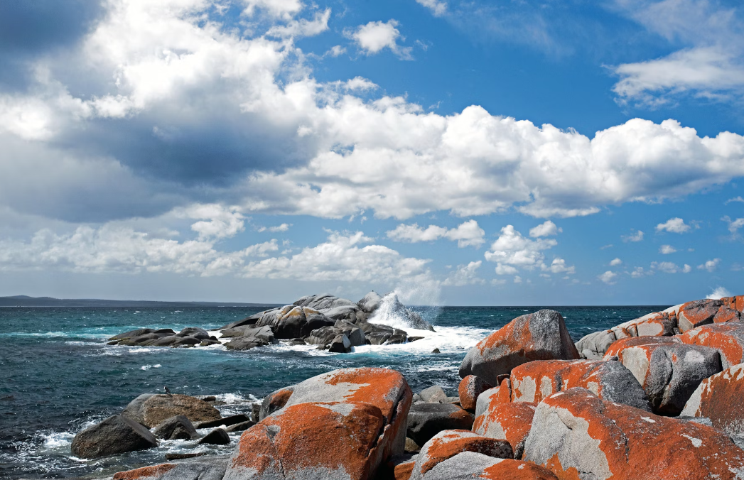 Colorful boulders in Tasmania.