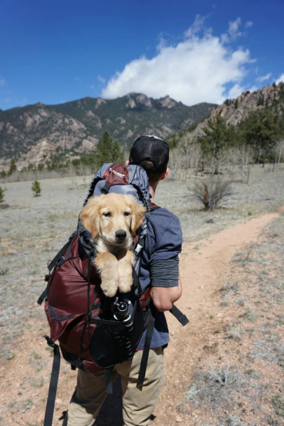 A man traveling abroad with a pet dog.