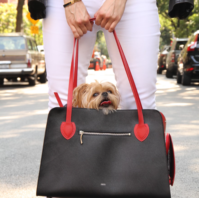 A dog in a bag.